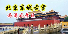 欧美大鸡巴操射中国北京-东城古宫旅游风景区